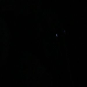 Meet your Posher, Yanna